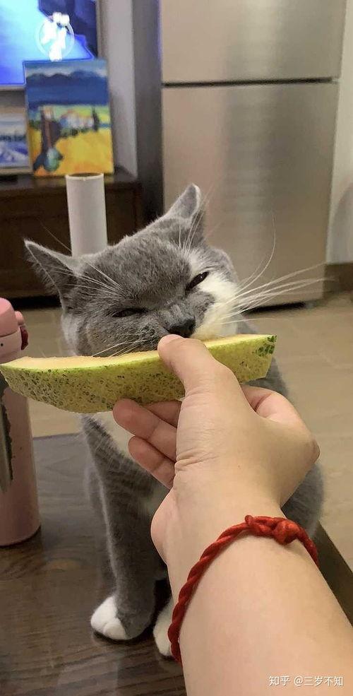 哈密瓜影视 
