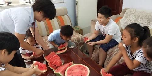 填满饭盒组织者