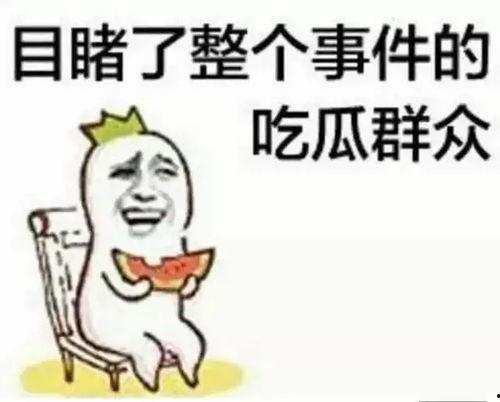 只会抓宠的我突然无敌了
